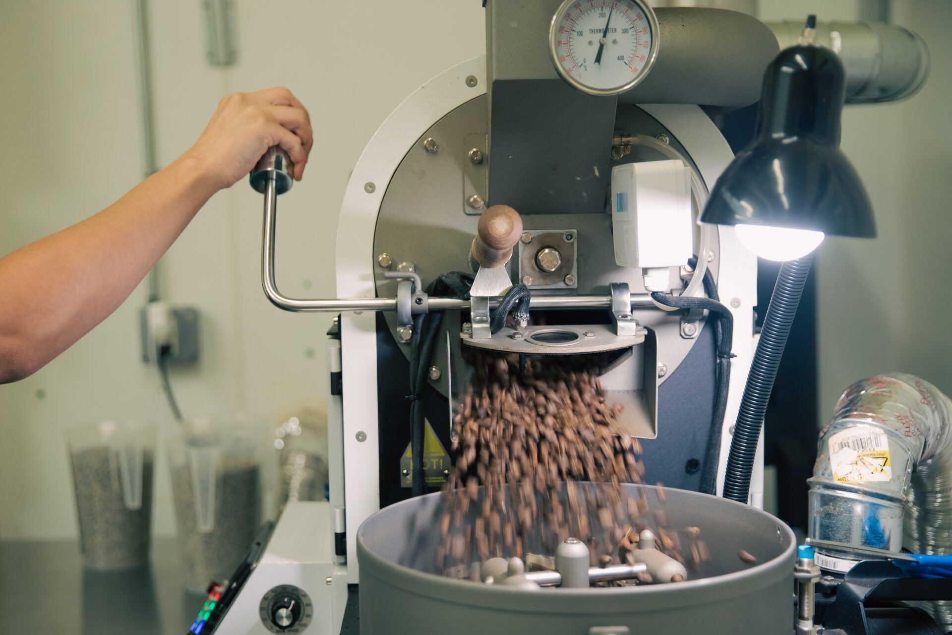 Coffee beans falling into a roasting machine, representing industrial-grade kitchen equipment at Le Gourmet Factory